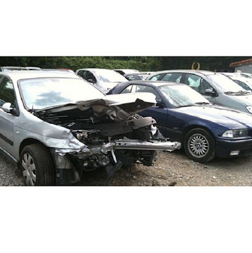 Aperçu des activités de la casse automobile CALARD FRERES située à BALAN (01360)